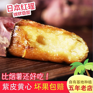 日本红瑶红薯芋番薯软糯蜜甜红薯紫皮黄心山芋香甜烤地瓜5斤