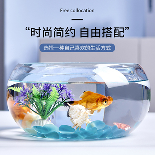创意水族箱生态圆形玻璃，金鱼缸(金鱼缸)大号，乌龟缸迷你小型造景水培花瓶