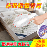 床垫除霉剂去霉斑菌霉点窗帘，布艺沙发被子发霉清除剂家用去霉神器