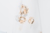 韩国直邮烫金欧根纱，面料金色玫瑰，面料服装窗帘连衣裙裙子布