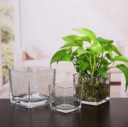 水培正方形玻璃容器透明方，缸铜钱草，玻璃四方花瓶容器杯花盆简约