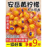 四川安岳黄柠檬(黄柠檬)一级果皮薄多汁，当季水果香柠檬大中小整箱5斤