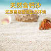 寄居蟹专用沙菲律宾沙珊瑚砂寄居蟹底沙贝壳砂鱼缸装饰造景钙沙海