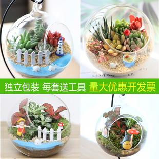 苔藓微景观diy生态，瓶玻璃创意迷你植物，礼物办公室桌面盆栽