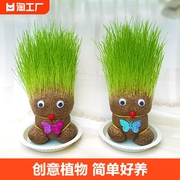 创意长草娃娃小盆栽草头，娃娃桌面绿植礼物，水培儿童种植小植物迷你