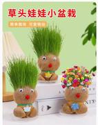 草头娃娃创意小盆栽办公室可爱植物趣味长草娃娃儿童水培绿植客厅