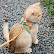 猫咪牵引绳防挣脱外出专用遛猫绳溜猫链子，宠物胸背带猫绳子小型犬