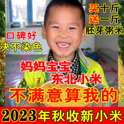 2023年东北小米月子米黄小米小黄米孕妇宝宝米粥米五谷杂粮500克