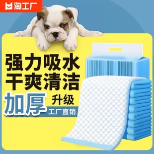 一次性宠物尿垫隔尿垫狗狗，尿布垫纸尿垫加厚吸水垫猫咪60x90cm