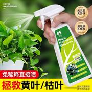 植物营养液通用型免稀释绿植，盆栽肥料室内水培绿萝花卉叶面肥喷施