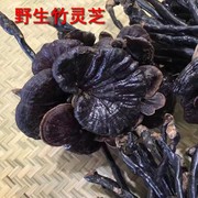 海南竹灵芝小红灵芝天然野生泡酒整枝特级干货，灵芝500克紫黑林芝