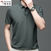 啄木鸟名牌男士短袖t恤2024夏季polo衫高端冰丝中年男款衬衫