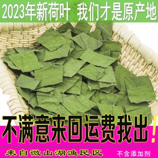 微山湖荷叶茶纯150-500g野生天然干荷叶片新鲜荷叶片荷叶泡茶