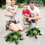 乌龟玩具电动遥控仿真机器智能小男女孩益智网红儿童生日礼物宝宝
