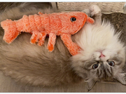猫玩具自嗨电动龙虾仿真鱼逗猫棒猫咪解闷神器耐咬啃咬磨牙猫用品