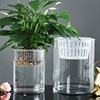 水培植物玻璃瓶子透明直筒，圆柱形花瓶简约绿萝花盆，白掌水养缸容器