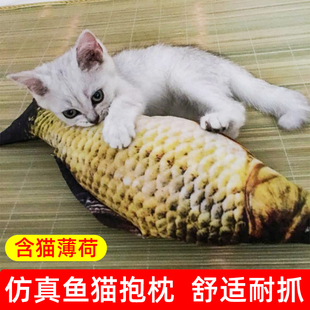 逗猫棒猫玩具鱼抱枕仿真自嗨猫薄荷猫猫，磨牙小猫猫咪用品啃咬逗猫