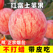 苹果新鲜水果当季整箱10斤山东烟台栖霞红富士平果脆甜丑苹果