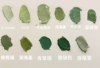 绿色翡翠绿深绿浅绿墨绿薄荷绿牛油果绿美缝剂瓷砖地砖胶填缝勾缝