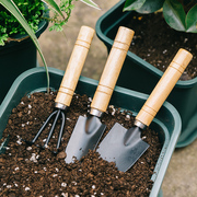 种花工具小铲子园艺种菜专用花铲挖土松土神器，养花家用栽花盆栽铲