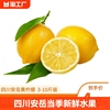 四川真安岳黄柠檬(黄柠檬，)当季新鲜水果，泡饮薄皮香水鲜甜柠檬生鲜亮袋
