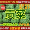 500g无叶贡菜新鲜苔干苔菜农家干货土特产脱水蔬菜干响菜