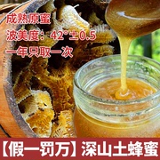 蜂蜜纯正天然土蜂蜜农家自产正宗无添加野生峰蜜木桶蜜500g罐装