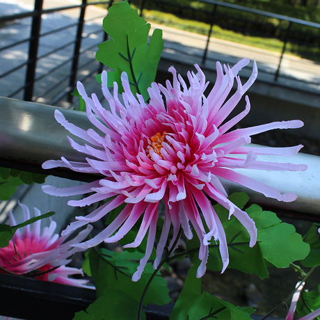 挂花藤条