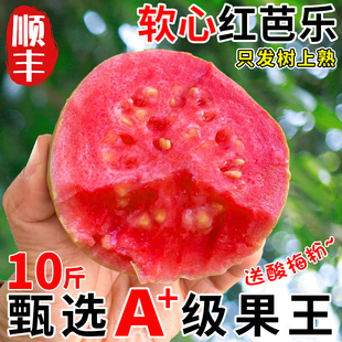 礼盒10斤红心芭乐番石榴水果，新鲜奶油低糖胭脂红鸡屎果5