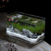 美人鱼长方形玻璃鱼缸斗鱼缸办公桌面鱼缸孔雀鱼缸一次成型不漏水