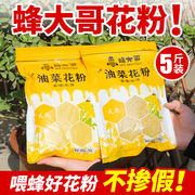 油菜花粉喂蜂养蜂颗粒蜜蜂饲料蜂粮中蜂意蜂杂粉蜂大哥工具