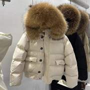 2023冬韩国东大门大毛领，羽绒服女短款宽松休闲加厚小个子外套长袖