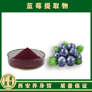 蓝莓提取物浓缩粉固体饮料有机无糖冲饮烘焙野生花青素蓝莓冻干粉