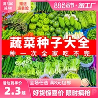 蔬菜种子四季播盆栽阳台庭院香菜辣椒，番茄黄瓜豆简单易种籽(易种籽)孑大全