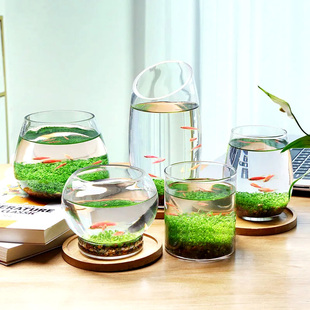 生态瓶水草缸鱼缸玻璃微景缸办公桌面创意造景观鱼缸真水草种子
