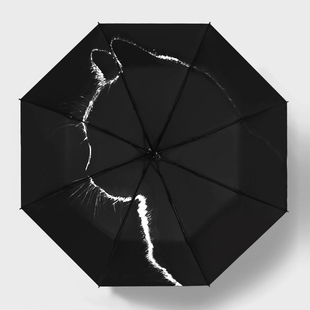 自动雨伞黑白简约ins风太阳伞，防晒晴雨两用遮阳伞，防紫外线女黑胶