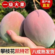 果客四川攀枝花·凯特芒果·当季新鲜水果青皮大芒果一年一季