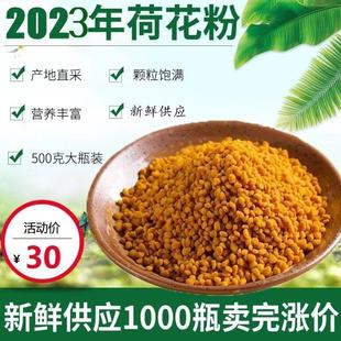新鲜荷花粉2023食用天然蜂花粉农家自产莲花纯粉女500g