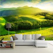 电视背景墙壁纸客厅沙发现代简约清新田园绿色草地风景Z画墙纸壁