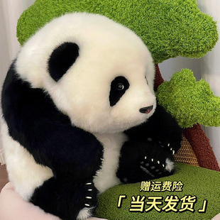 熊猫工厂五月龄萌兰花花仿真熊猫玩偶毛绒玩具情人节礼物女生