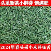 2024春茶雀舌小米芽，茶叶绿茶新茶散装明前茶，四川雅安蒙顶山茶250g