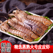 新鲜熟冻皮皮虾虾爬子，富贵虾壳薄肉多虾姑蒸熟冻虾婆食用海鲜水产