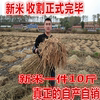 今年新米东北黑龙江东北稻花香大米10斤粳米长粒