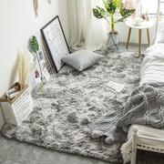 地毯卧室床边客厅2023毛毯，少女房间茶几，长绒加厚地垫冬季