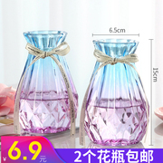 2件套双色花瓶玻璃透明水养摆件客厅鲜花瓶插花瓶简约ins干花花瓶