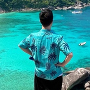 夏季汤米同款衬衫男罪恶都市美式西海岸polo衫gta5夏威夷花衬衣