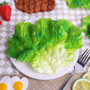 仿真生菜叶模型塑胶假菜叶果蔬食物食品菜盘搭配蔬菜叶子道具拍摄