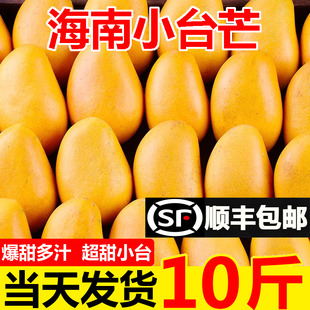海南小台芒果10斤新鲜小台农芒应当季水果现摘热带芒果整箱