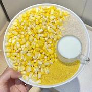 玉米汁破壁机专用食材包豆浆机原料包豆浆(包豆浆)包五谷杂粮小包装米糊