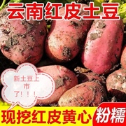 新鲜云南红皮土豆最大果5斤带箱10斤新鲜黄(新鲜黄)心土豆高原红皮洋芋